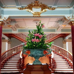 Отель Vidago Palace бассейн фото 3