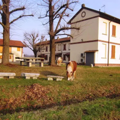 Отель Cascina Salazzara Маджента