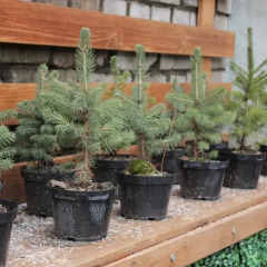 Отель Жилые помещения Green Point Казань