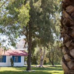 Отель Mavi Zeytin Butik Otel фото 7