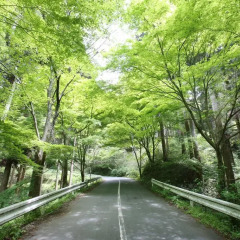 Отель Tarutama Onsen Yamaguchi Ryokan Минамиогуни приотельная территория фото 2