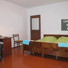 Отель Lyova & Sons B&B Стандартный номер разные типы кроватей фото 3