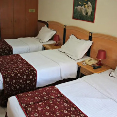 San Marco Hotel 2* Стандартный номер с различными типами кроватей фото 8