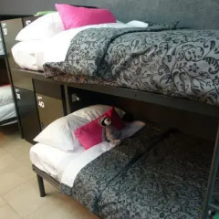 Отель Hostal La Buena Vida 2* Кровать в мужском общем номере фото 3