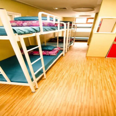 Kimchee Sinchon Guesthouse - Hostel Кровать в женском общем номере с двухъярусной кроватью фото 7