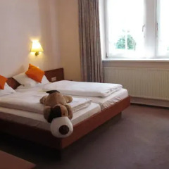 Ferien- und Reitsport Hotel Brunnenhof комната для гостей фото 2
