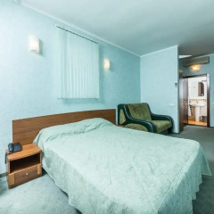 Гостиница Олимп 3* Стандартный номер с различными типами кроватей фото 13