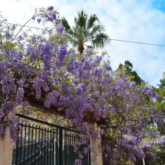 Отель Appartamento in Villa Recanati Джардини Наксос