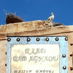 Отель Riad Bab Agnaou Марокко, Марракеш - отзывы, цены и фото номеров - забронировать отель Riad Bab Agnaou онлайн фото 8