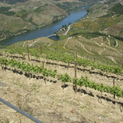 Отель Quinta Da Azenha Армамар спортивное сооружение