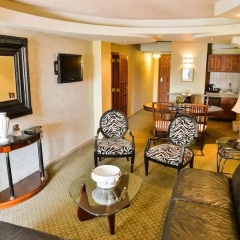 Hotel Plaza San Martin 3* Полулюкс с различными типами кроватей фото 9