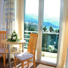 Hotel Montenegro Beach Resort 4* Стандартный номер с различными типами кроватей фото 8