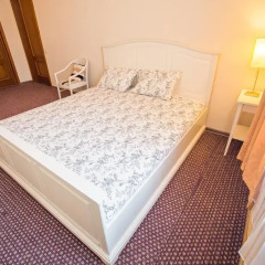 Гостиница Гермес 3* Стандартный номер разные типы кроватей фото 5