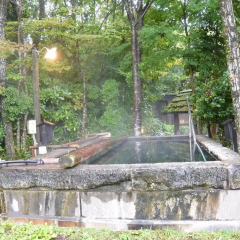 Отель Ryokan Kono-Yu Минамиогуни фото 6