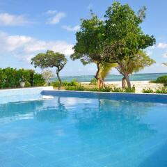 Отель Viwa Island Resort бассейн фото 2