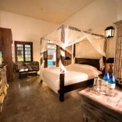 D Pavilion Boutique Hotel 3* Номер Делюкс с различными типами кроватей фото 2