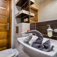 Отель Apartamenty i Pokoje w Willi na Ubocy Закопане сауна