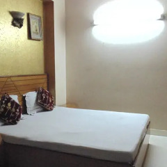 Hotel Maharaja Continental Номер Делюкс с различными типами кроватей фото 7