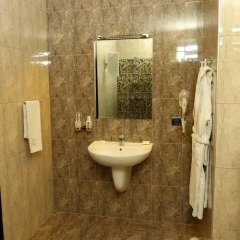 Отель Avan Plaza 3* Люкс фото 34