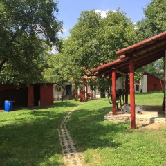 Отель Guest house Magyar Route 66 Венгрия, Силвашварад - отзывы, цены и фото номеров - забронировать отель Guest house Magyar Route 66 онлайн фото 3