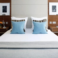 Отель Park Plaza County Hall London 4* Улучшенный номер с различными типами кроватей фото 4