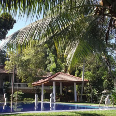Отель SeethaRama Ayurveda Resort Шри-Ланка, Берувела - отзывы, цены и фото номеров - забронировать отель SeethaRama Ayurveda Resort онлайн фото 3