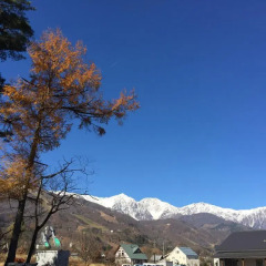 Отель Uchimaru Hakuba Хакуба