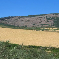 Отель Casa da Bica парковка