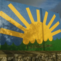 Отель Caribbean Dawn Ямайка, Порт Антонио - отзывы, цены и фото номеров - забронировать отель Caribbean Dawn онлайн приотельная территория