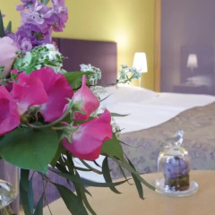Appartement-Hotel an der Riemergasse Студия с различными типами кроватей фото 3