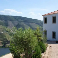 Отель Quinta da Veiga Саброза