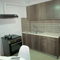 Отель Lak Peristeri Homes в номере фото 2