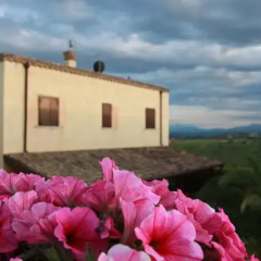 Отель Poggio Del Sole Country House Италия, Ситта-Сант-Анджело - отзывы, цены и фото номеров - забронировать отель Poggio Del Sole Country House онлайн фото 5