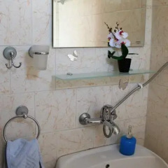 Отель Guest House Velena Болгария, Генерал-Кантраджиево - отзывы, цены и фото номеров - забронировать отель Guest House Velena онлайн ванная
