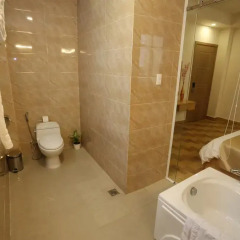 Thuy Sakura Hotel & Serviced Apartment 3* Номер Делюкс с различными типами кроватей фото 7