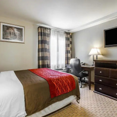 Отель Comfort Inn Monterey Park 3* Стандартный номер фото 3