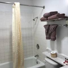 Отель Knights Inn Los Angeles Central / Convention Center Area США, Лос-Анджелес - отзывы, цены и фото номеров - забронировать отель Knights Inn Los Angeles Central / Convention Center Area онлайн ванная