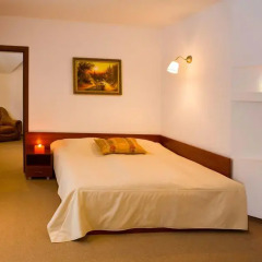 Гостиница Troyanda Karpat 3* Люкс разные типы кроватей фото 11