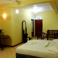 Alsevana Ayurvedic Tourist Hotel & Restaurant Стандартный номер с 2 отдельными кроватями фото 15