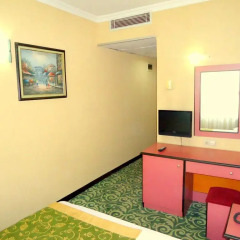 Hotel Buyuk Paris 3* Стандартный номер с различными типами кроватей фото 16