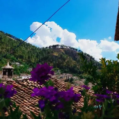 Отель Guesthouse Kadiu Berat Албания, Берат - отзывы, цены и фото номеров - забронировать отель Guesthouse Kadiu Berat онлайн фото 8