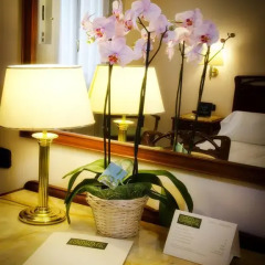 Continental Genova Hotel 4* Стандартный номер фото 24