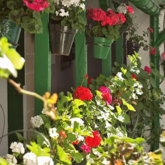 Отель Apartamentos Jerez Испания, Херес-де-ла-Фронтера - отзывы, цены и фото номеров - забронировать отель Apartamentos Jerez онлайн фото 11