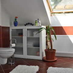 Отель Apartmán Bílá Hora Roudná Пльзень спа фото 2