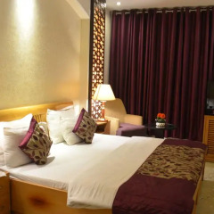 Отель Emperor Palms @ Karol Bagh Индия, Нью-Дели - отзывы, цены и фото номеров - забронировать отель Emperor Palms @ Karol Bagh онлайн комната для гостей фото 3