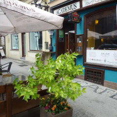 Отель Academus - Cafe/Pub & Guest House Польша, Вроцлав - отзывы, цены и фото номеров - забронировать отель Academus - Cafe/Pub & Guest House онлайн