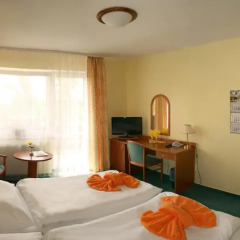 Hotel Pyramida Ii Франтишкови-Лазне комната для гостей фото 2