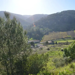 Отель Casa Montejunto