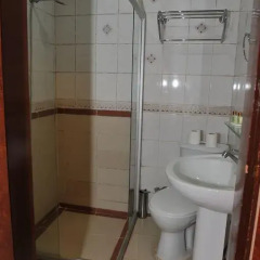 Turvan Hotel 3* Стандартный номер с различными типами кроватей фото 16