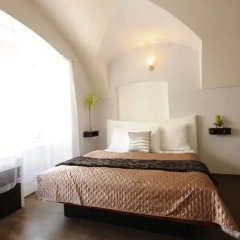 Отель Design Neruda 4* Номер Делюкс с различными типами кроватей фото 8